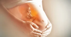 Con trong bụng mẹ có được nhận thừa kế không